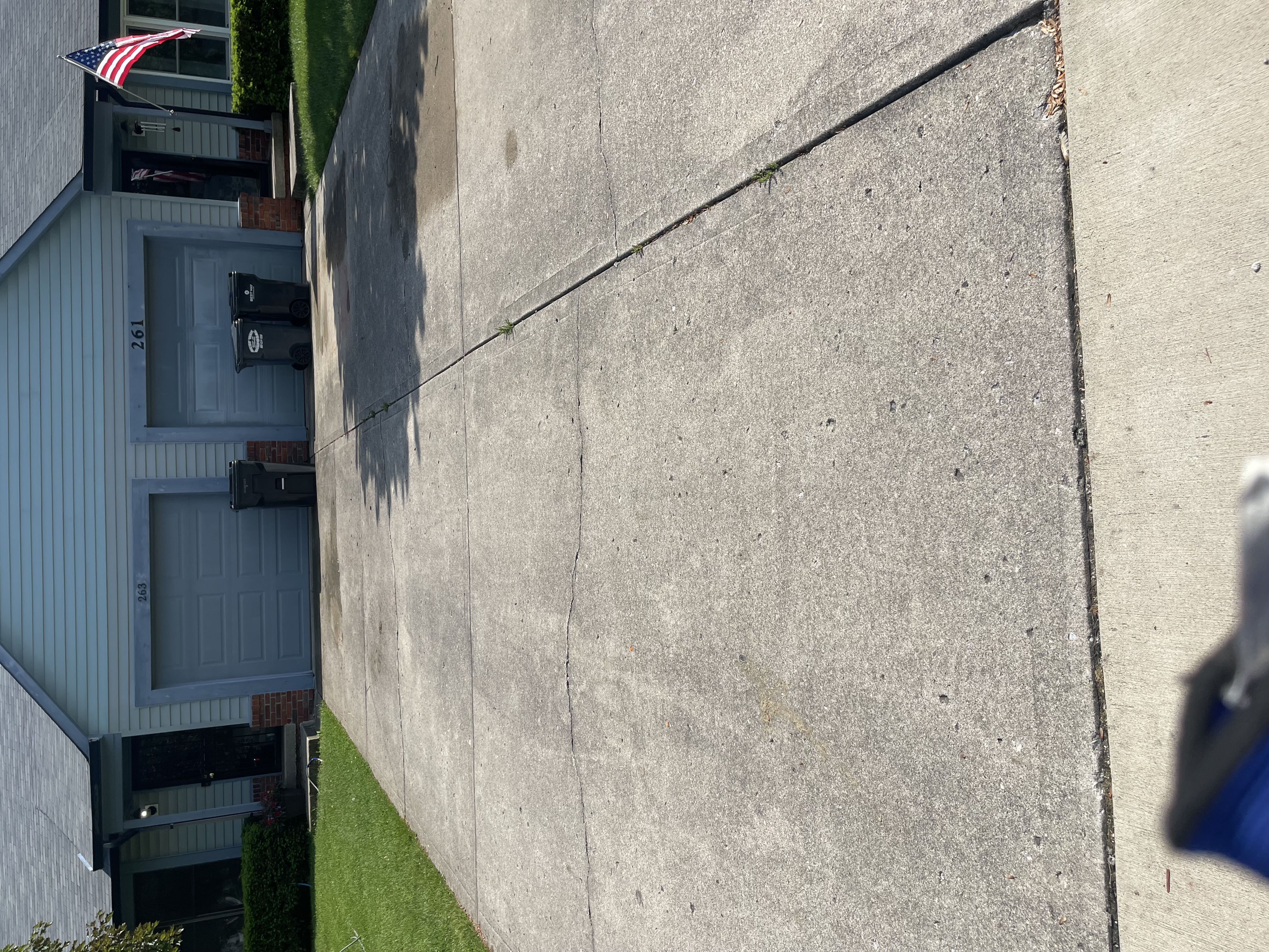 Driveway before power washing
